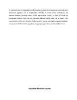 Referāts 'Kino ikdienā caur mākslas prizmu', 6.