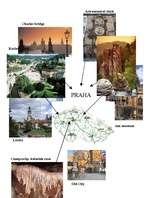 Referāts 'Czech Republic', 5.