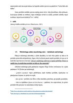 Diplomdarbs 'Produktu vai pakalpojumu klāsta paplašināšana mājdzīvnieku rotaļlietu segmentā a', 13.