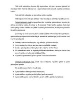 Diplomdarbs 'Produktu vai pakalpojumu klāsta paplašināšana mājdzīvnieku rotaļlietu segmentā a', 21.