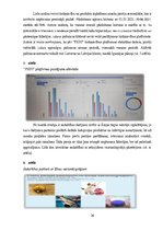 Diplomdarbs 'Produktu vai pakalpojumu klāsta paplašināšana mājdzīvnieku rotaļlietu segmentā a', 26.
