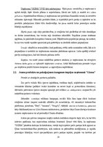 Diplomdarbs 'Produktu vai pakalpojumu klāsta paplašināšana mājdzīvnieku rotaļlietu segmentā a', 29.