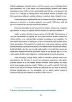 Diplomdarbs 'Produktu vai pakalpojumu klāsta paplašināšana mājdzīvnieku rotaļlietu segmentā a', 36.