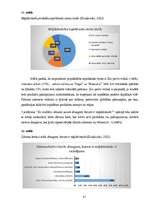 Diplomdarbs 'Produktu vai pakalpojumu klāsta paplašināšana mājdzīvnieku rotaļlietu segmentā a', 41.