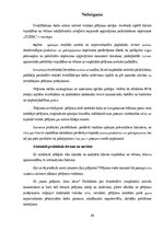 Diplomdarbs 'Produktu vai pakalpojumu klāsta paplašināšana mājdzīvnieku rotaļlietu segmentā a', 48.