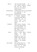 Diplomdarbs 'Eiropas lielāko konteinerostu attīstības tendences', 29.