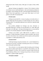 Diplomdarbs 'Eiropas lielāko konteinerostu attīstības tendences', 37.