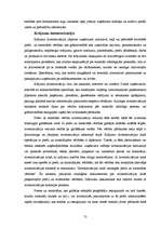 Referāts 'Inventarizācija', 13.