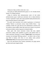 Referāts 'Mūzikas instrumenti', 3.