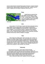 Referāts 'Itālija', 5.