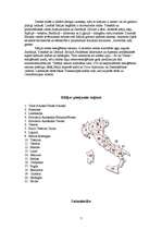 Referāts 'Itālija', 7.