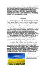 Referāts 'Itālija', 8.