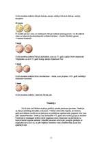 Referāts 'Itālija', 11.