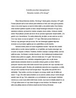 Eseja 'Zudušās paaudzes atspoguļojums Remarka romānā "Trīs draugi"', 1.