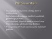Prezentācija 'Platons', 5.