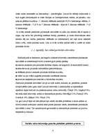 Referāts 'Vēlēšanas kā cilvēku politiskās aktivitātes forma', 9.