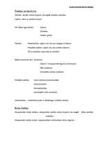 Referāts 'Starptautiskās darba privāttiesības', 1.