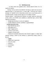 Referāts 'Produkta virzība tirgū', 6.