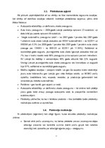 Referāts 'Produkta virzība tirgū', 7.