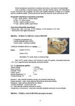 Referāts 'Metāli un to sakausējumi zobu protēžu tehnikā', 14.