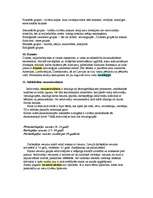 Konspekts 'Socioloģija', 3.