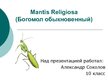 Prezentācija 'Mantis Religiosa', 1.