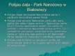Prezentācija 'Belovežas Nacionālais parks', 8.