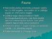 Prezentācija 'Belovežas Nacionālais parks', 13.