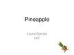 Prezentācija 'Pineapple', 1.