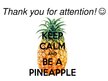 Prezentācija 'Pineapple', 24.