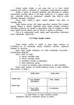 Referāts 'Zvejnieku kompānijas SIA "X" tirgus attīstības iespējas', 11.