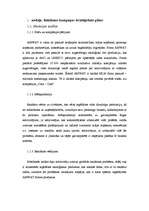 Referāts 'Reklāmas kampaņa', 2.