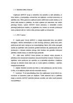 Referāts 'Reklāmas kampaņa', 3.