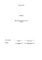 Konspekts 'Multifunkcionālās ierīces', 1.