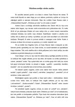 Eseja 'Rakstu analīze', 2.