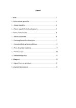 Referāts 'Annas Skaidrītes Gailītes biogrāfiskais romāns "Alīna"', 2.