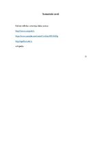 Referāts 'Annas Skaidrītes Gailītes biogrāfiskais romāns "Alīna"', 13.