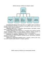 Referāts 'Mācību ekskursija', 3.