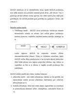 Referāts 'Uzņēmuma mārketinga un loģistikas analīze', 19.