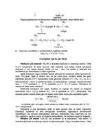 Referāts 'Spirti', 12.