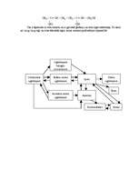 Referāts 'Spirti', 19.