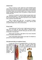 Referāts 'Sabiedrības struktūra Divupē', 3.