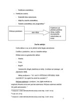 Referāts 'Hipotēze', 2.