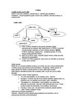 Konspekts 'Psiholoģijas eksāmena biļetes', 23.