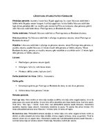 Paraugs 'Laboratorijas darbs par līdzsvara stabilitātes pārbaudi', 1.