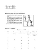 Paraugs 'Laboratorijas darbs par līdzsvara stabilitātes pārbaudi', 2.