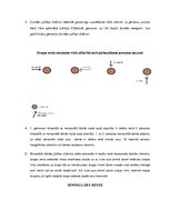 Paraugs 'Laboratorijas darbs par līdzsvara stabilitātes pārbaudi', 7.