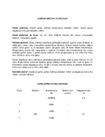 Paraugs 'Laboratorijas darbs par līdzsvara stabilitātes pārbaudi', 9.