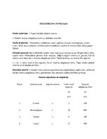 Paraugs 'Laboratorijas darbs par līdzsvara stabilitātes pārbaudi', 11.