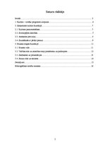 Referāts 'Saskarsmes un biznesa kultūra Rumānijā', 2.